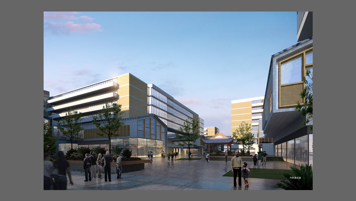 安徽省立醫(yī)院老年醫(yī)學(xué)康復(fù)中心項目